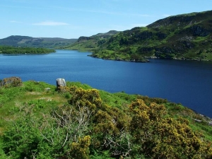 Image of Lough Caragh Co.Kerry